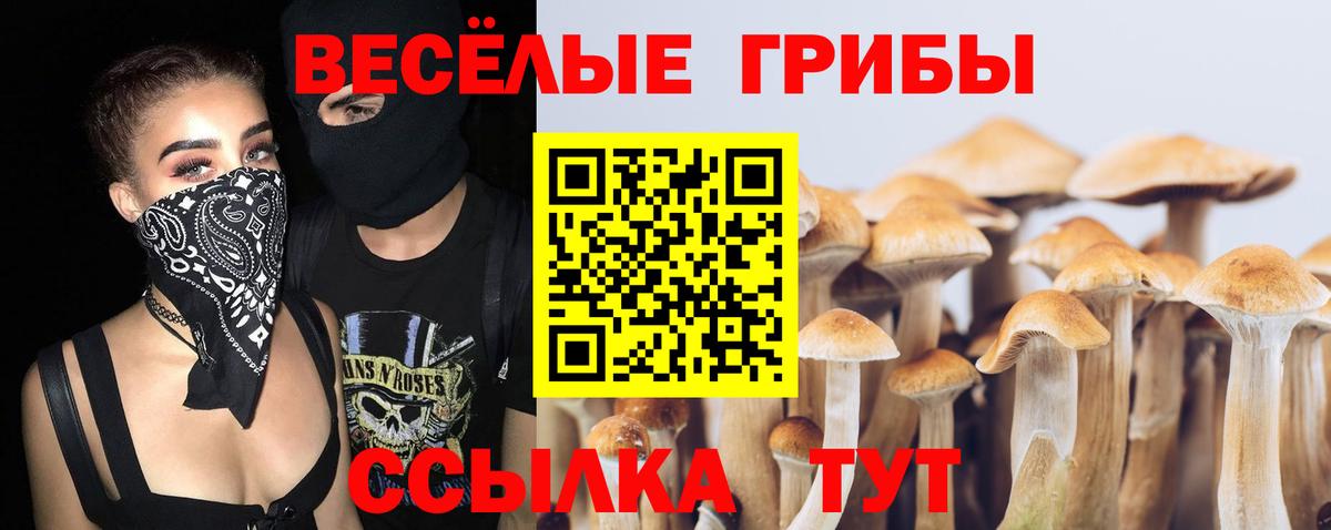 Псилоцибиновые грибы мухоморы Чехов