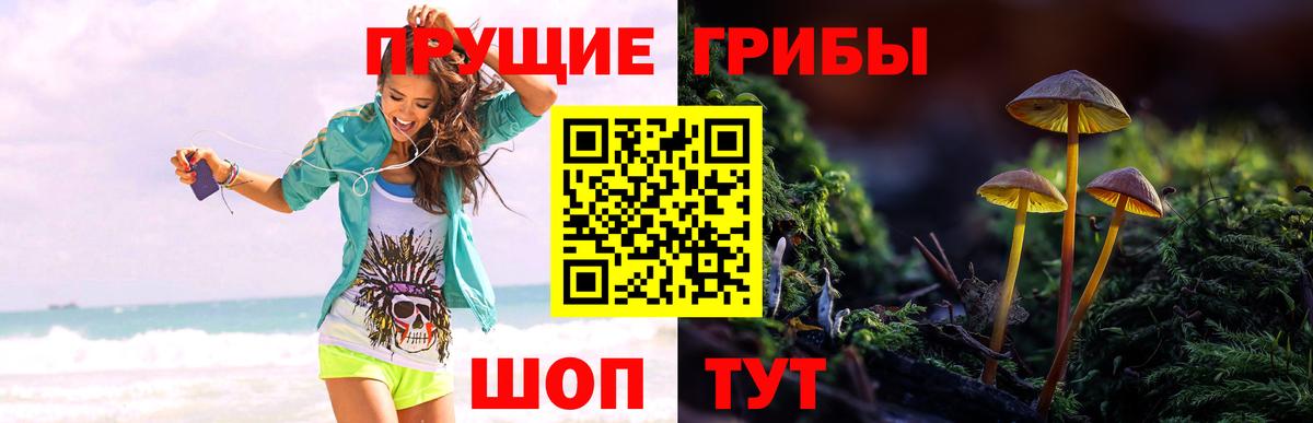 Псилоцибиновые грибы прущие грибы  Вход с VPN  Чехов 